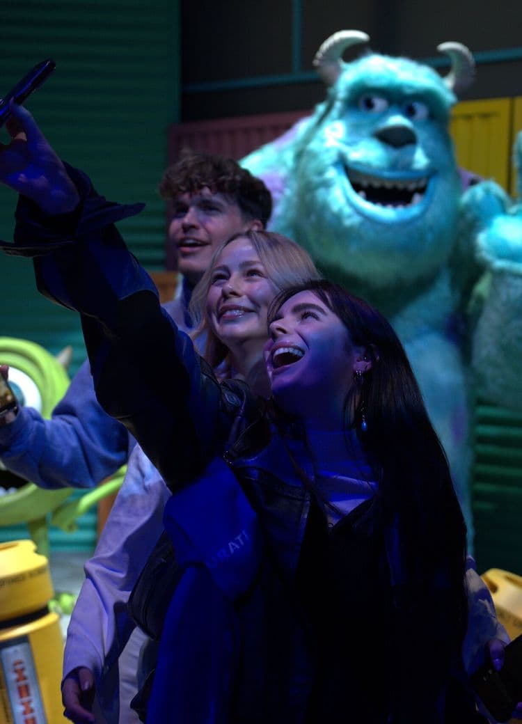 Monsters Inc Room - Sully