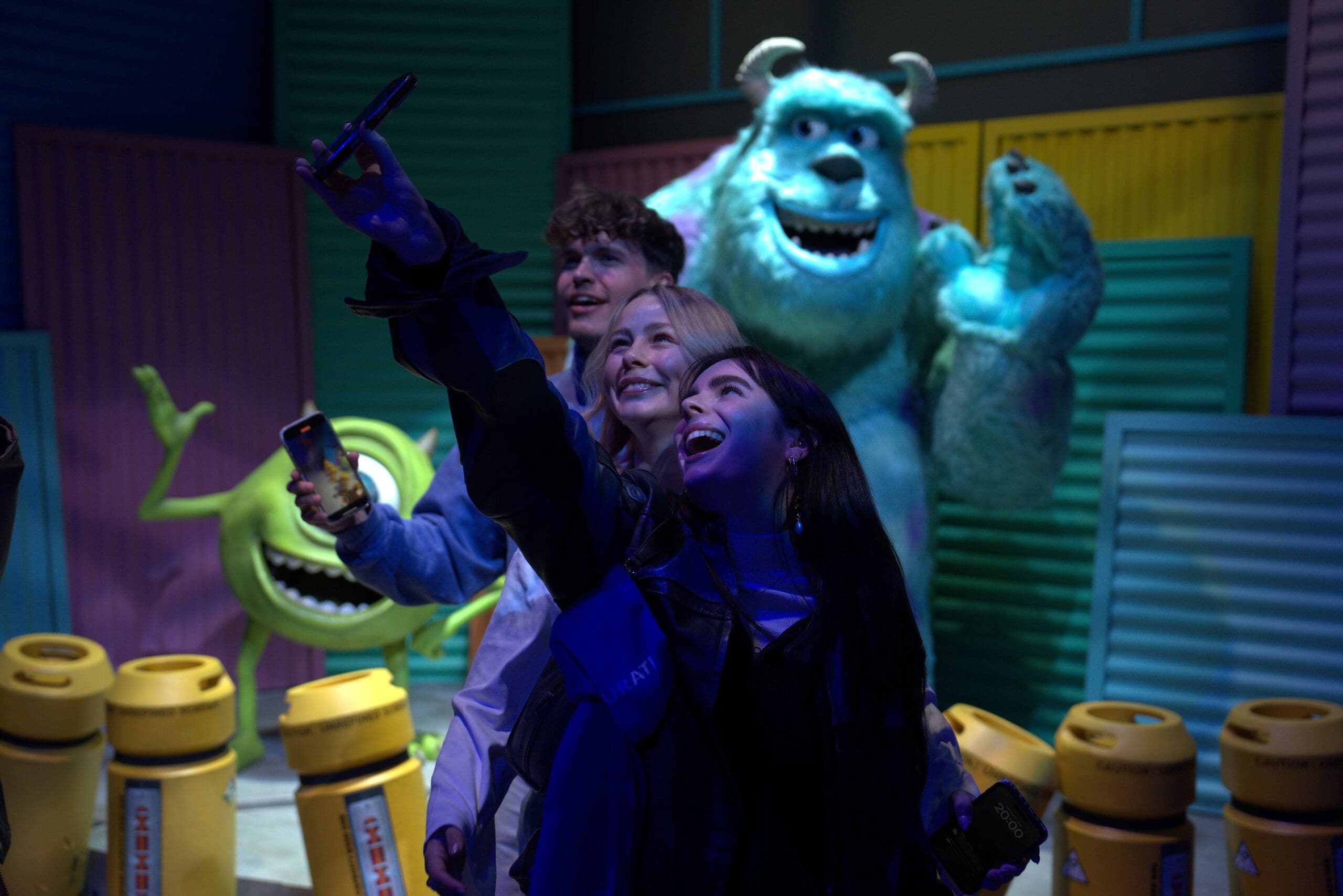 Monsters Inc Room - Sully