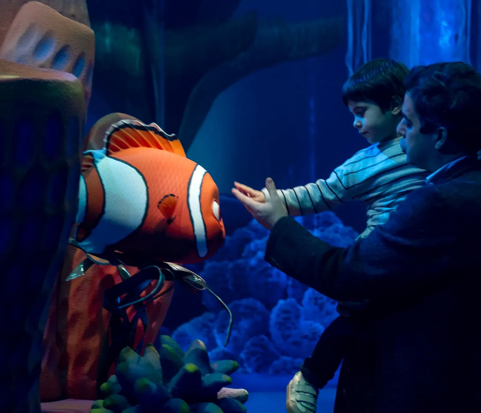 People finding Nemo in Room